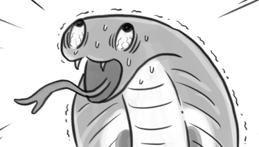4bs8s5.png