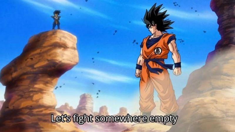 fight.jpg