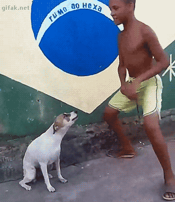 9dadbc7c182a7c883320bb1506333f68.gif