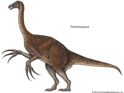 Therizinosaurus-dinosaurs.jpg
