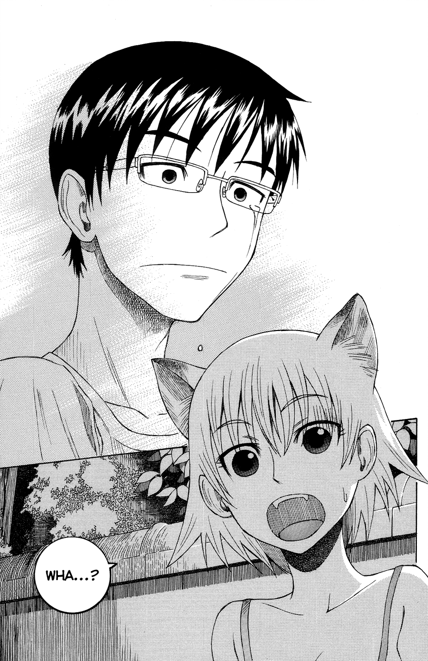 tM3QRgi.png