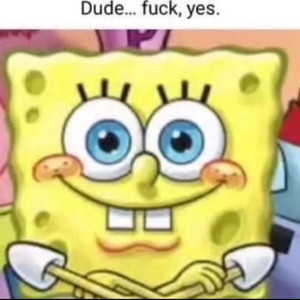 bd1.jpeg