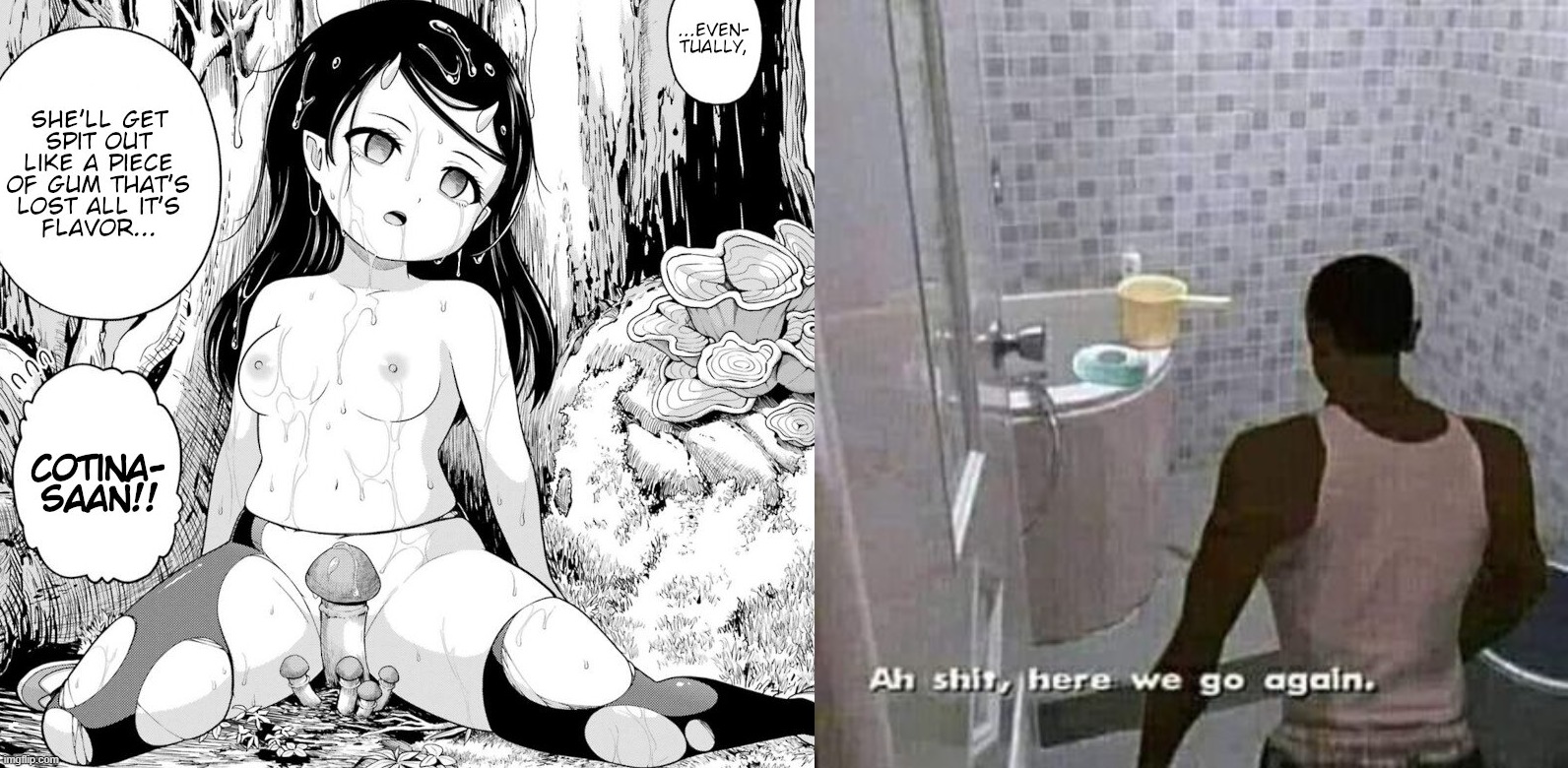 b2asil.jpg