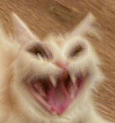 RDh0rWa.jpeg
