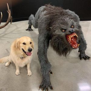 300px-Dog_vs._Werewolf.jpg