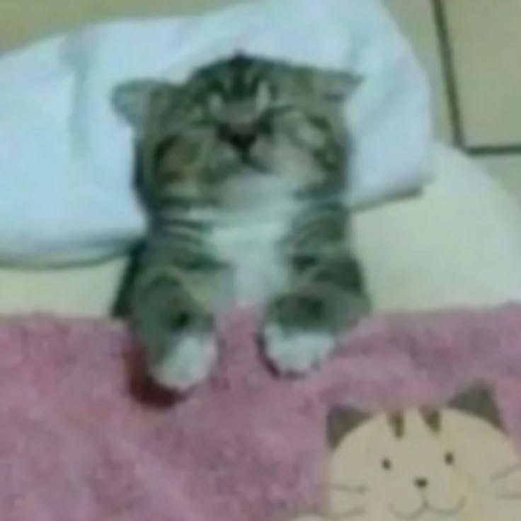 2da5baeb0c4245c1f61f29bb2b291df4.jpg