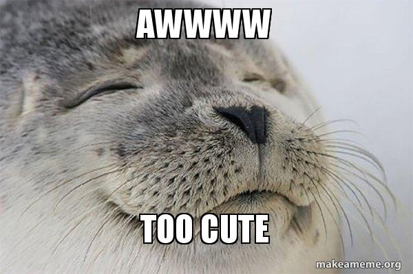 awwww-too-cute.jpg