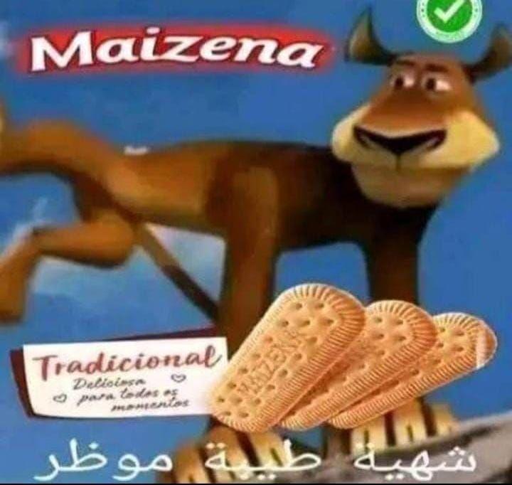 u5dgdpz93qof1.jpeg