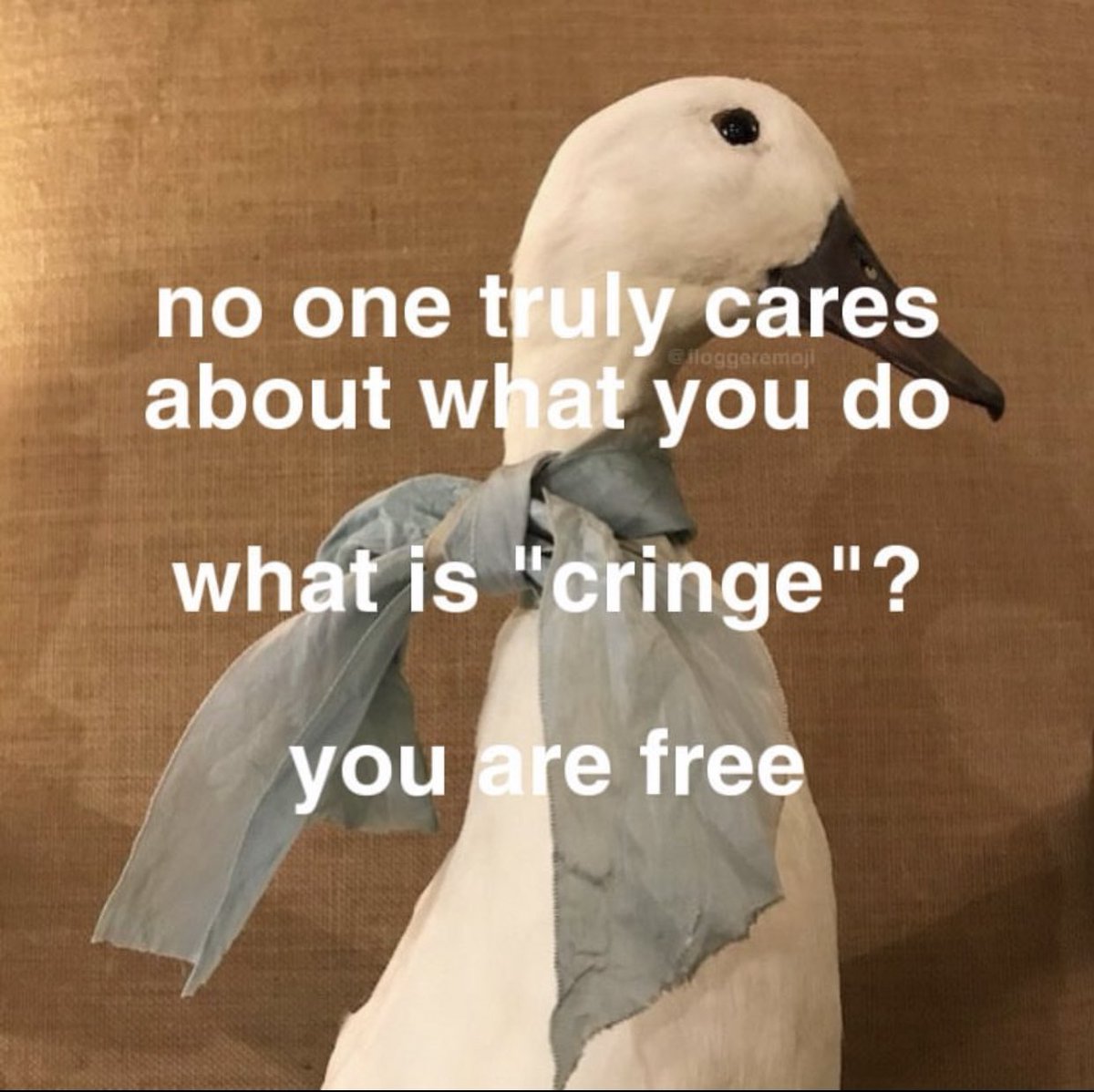 6ptuis.jpg