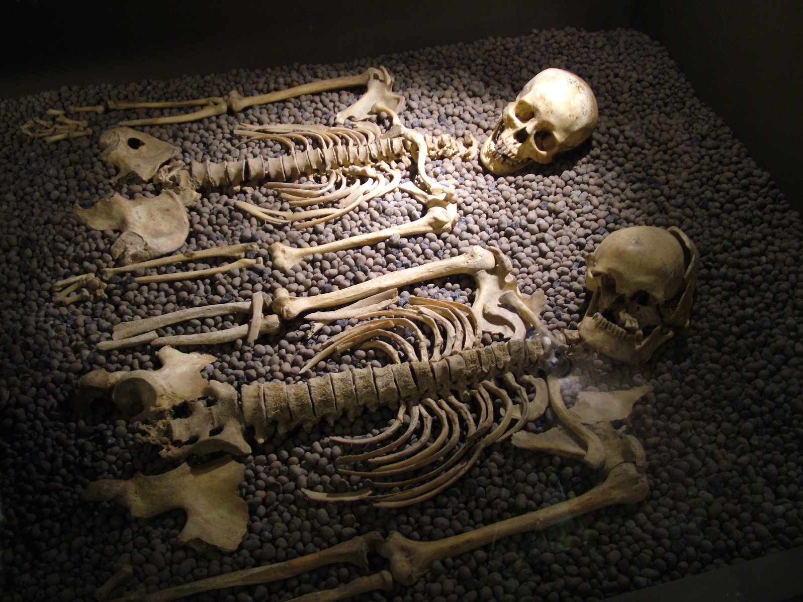 skeletons-in-bed-1403270.jpg