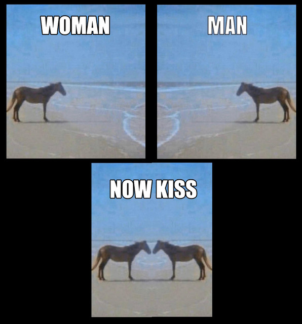 horse-now-kiss.jpg