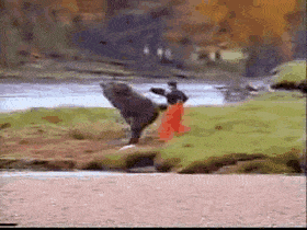ef11779e9dc6654506ae764c529e026c.gif
