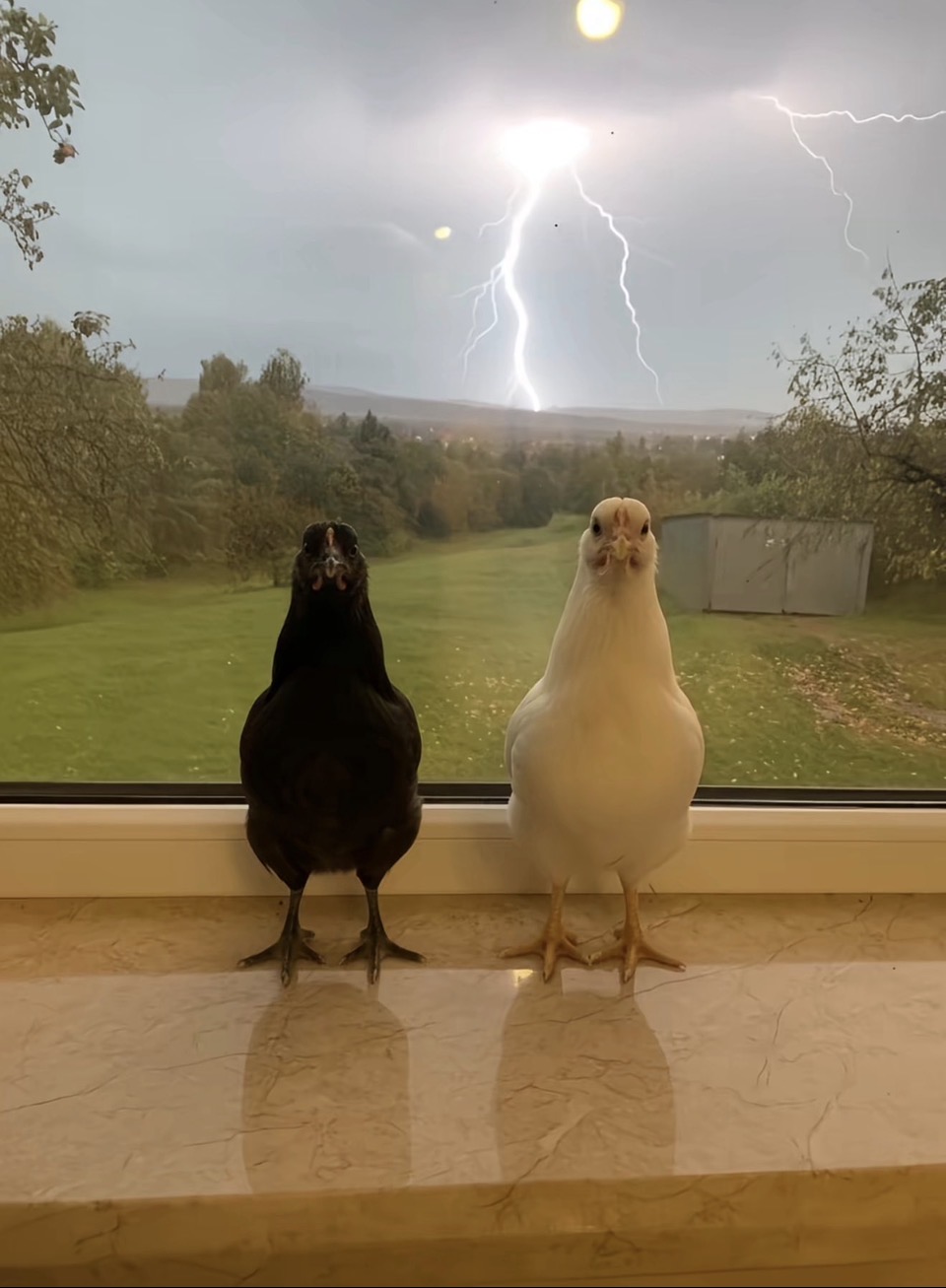 9ruwvm.jpeg