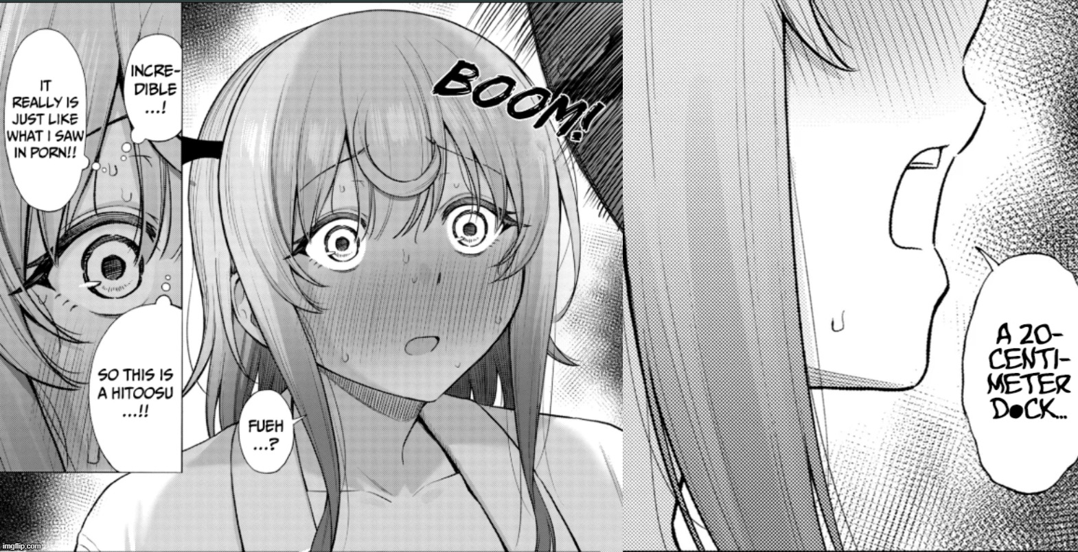 b21bsn.jpg