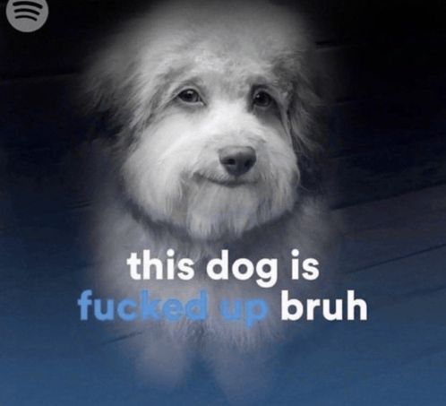 tenor.gif