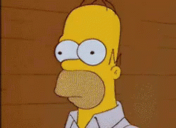 homer-simpson-homer.gif