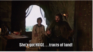 Tracts-of-Land-300x170.gif