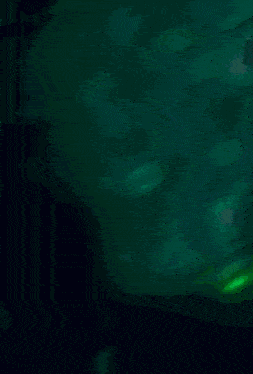 kinji-hakari-jujutsu-kaisen.gif