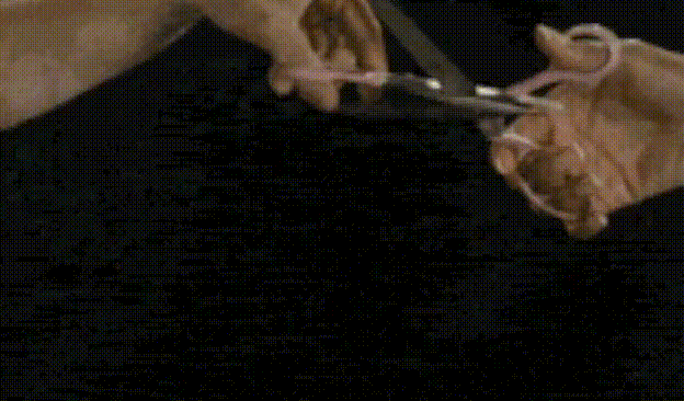 wJOEaP5.gif
