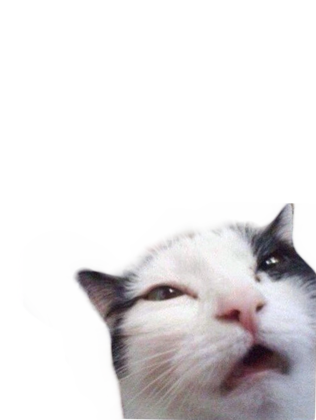 W3yqRa0.png