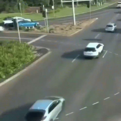 asdf-movie.gif
