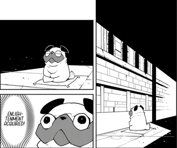 cr6RUep.png