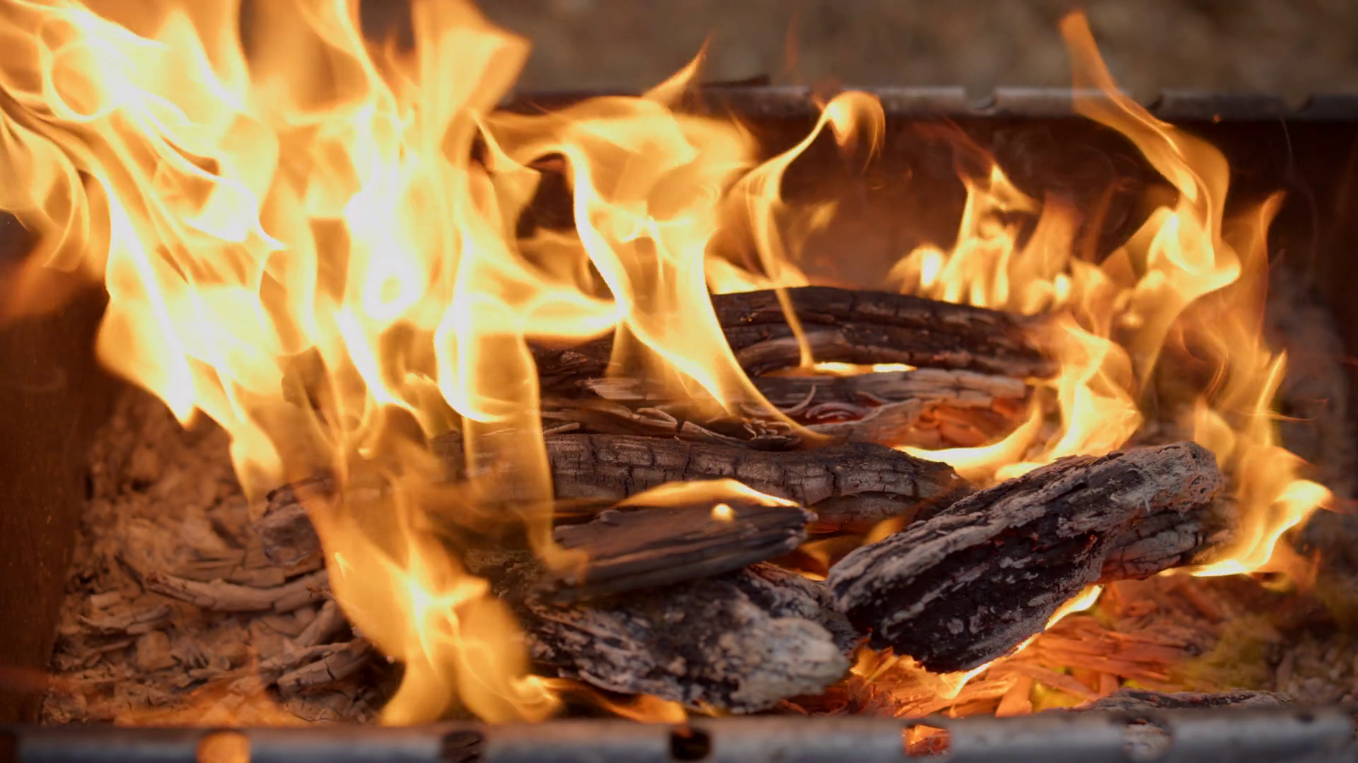 videoblocks-closeup-of-flames-of-fire-burning-wood-at-forest-fire-flames-blazing-over-pieces-of-timber-in-backyard-camping-bonfire-burning-in-slow-motion-at-forest_bygyhqnov_thumbnail-1080_01.png