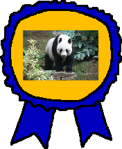 R0uMHZ6.png