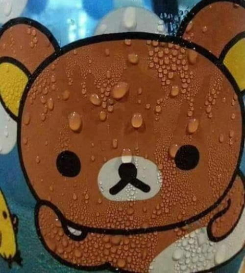 Bear-sweating-nervously-meme-10.jpg