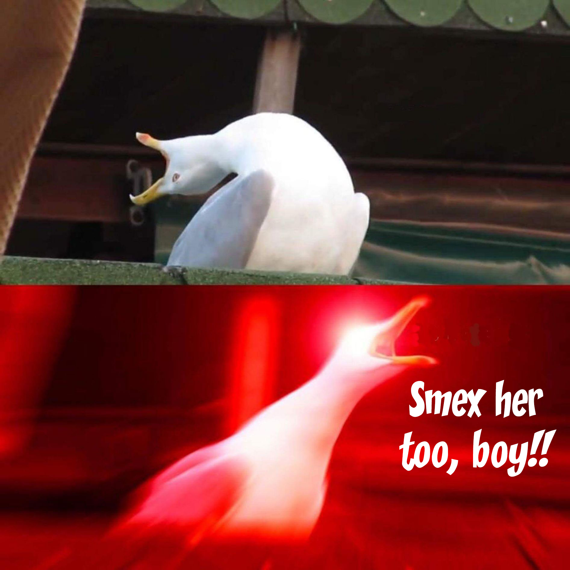 9fEUukv.png