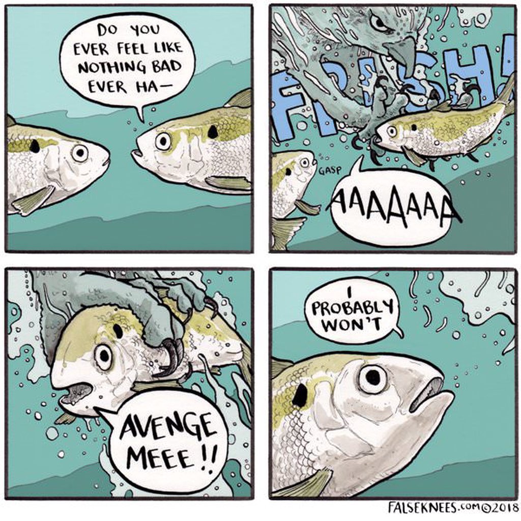 dtQcYcPh.jpg