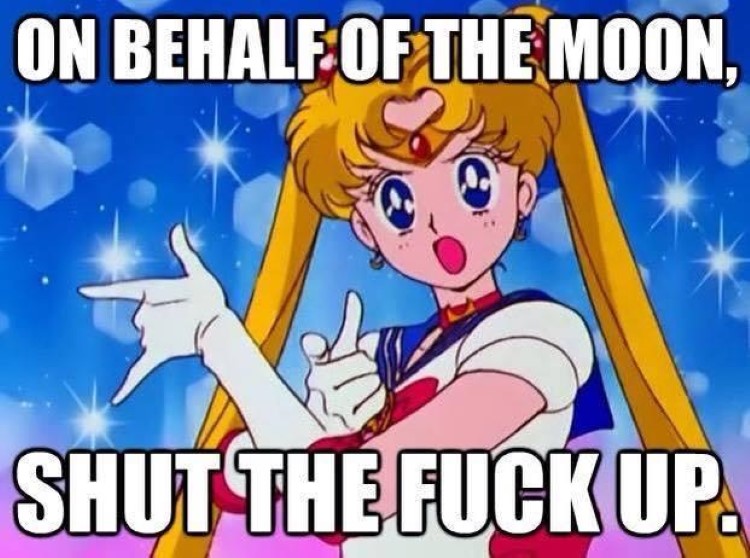 075-sailor-moon-meme.jpg