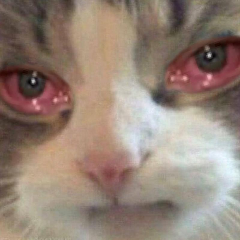 QnRsjyi.jpg