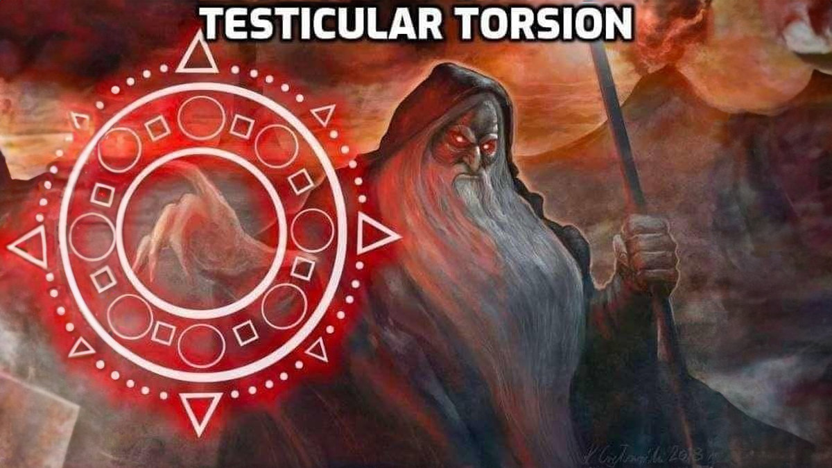 Testicular_Torsion_Wizard_meme_banner.jpg