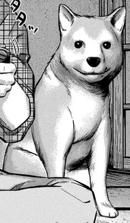 G7DaTnk.png