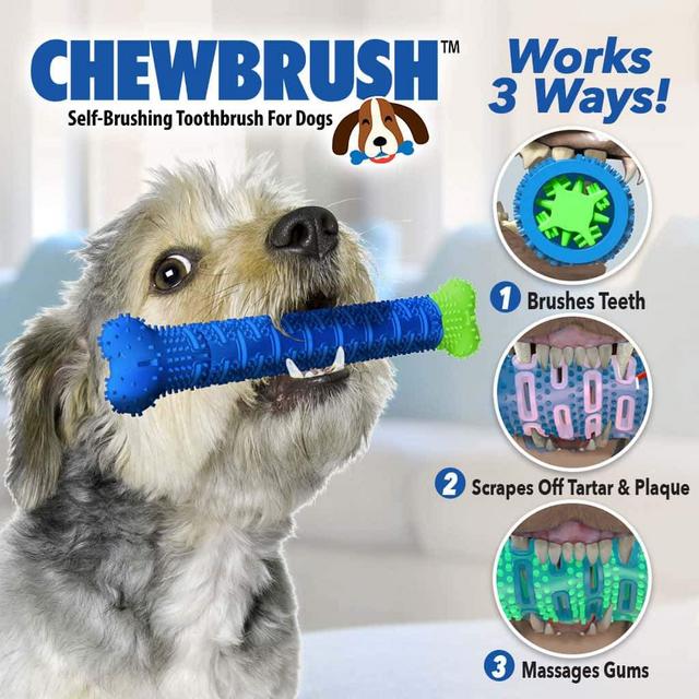 BH-Site-Chewbrush-Main-min.jpg