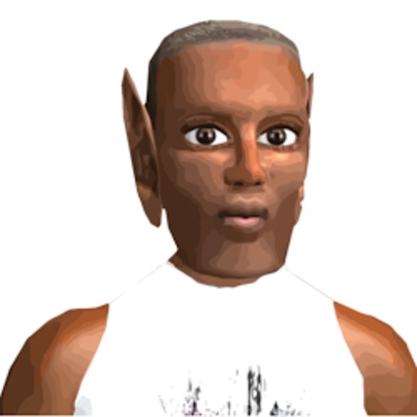 pehbolp.jpg