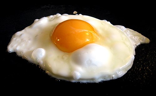 500px-Fried_Egg_2.jpg