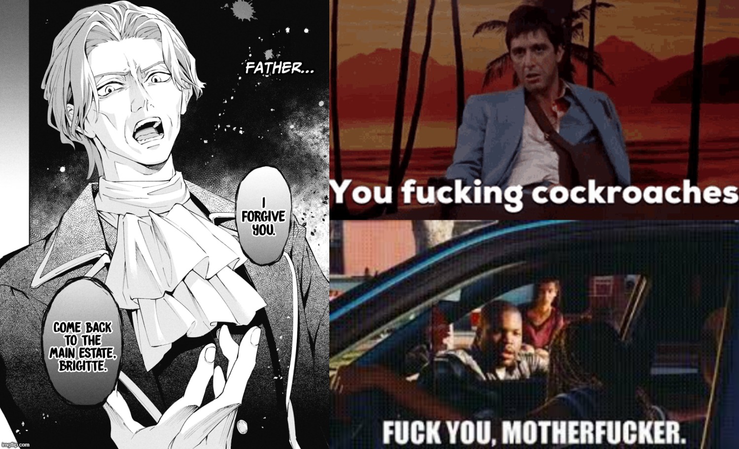 aqmjnl.jpg
