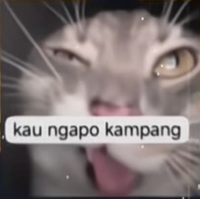 e06e3ba12d453980fd90583ad943c73b.jpg