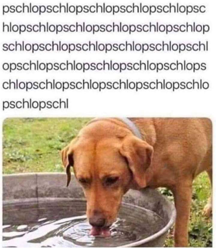 wuwnfhfapny41.jpg