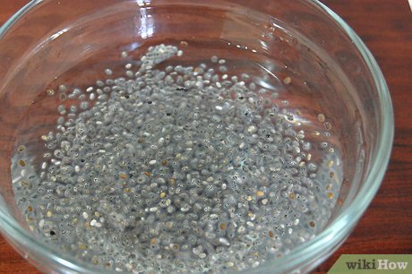 v4-460px-Make-Recipes-With-Chia-Seeds-Step-5.jpg