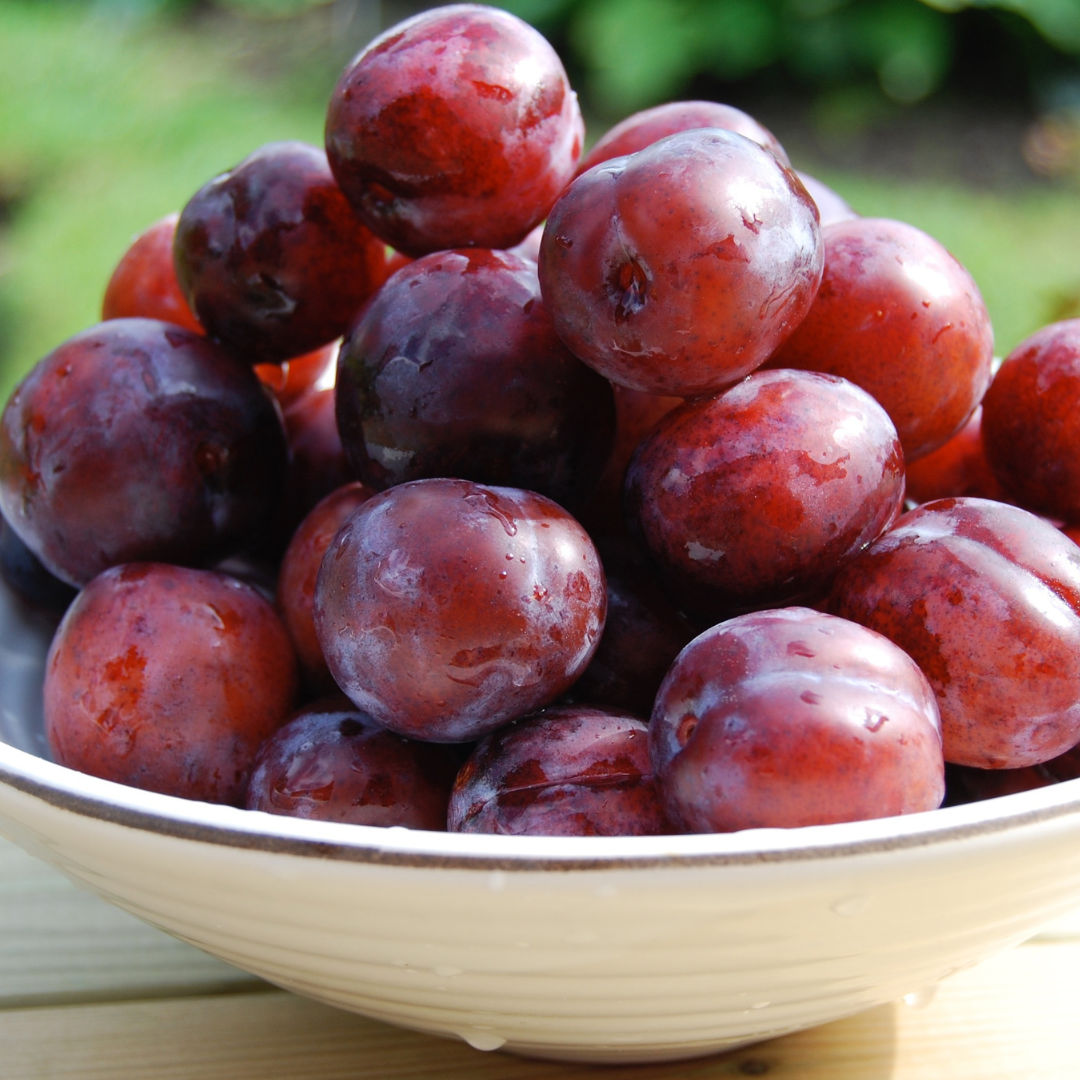 fruits-et-sucre-2.png