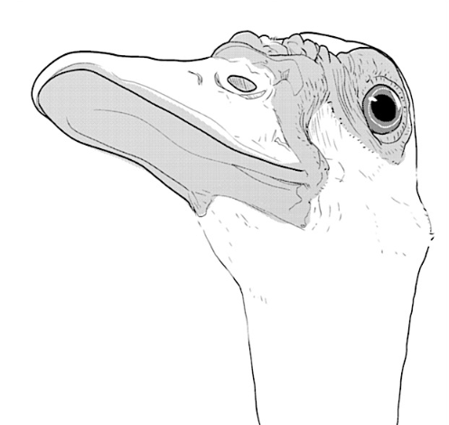 0lCMS5H.png