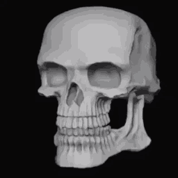 bone.gif