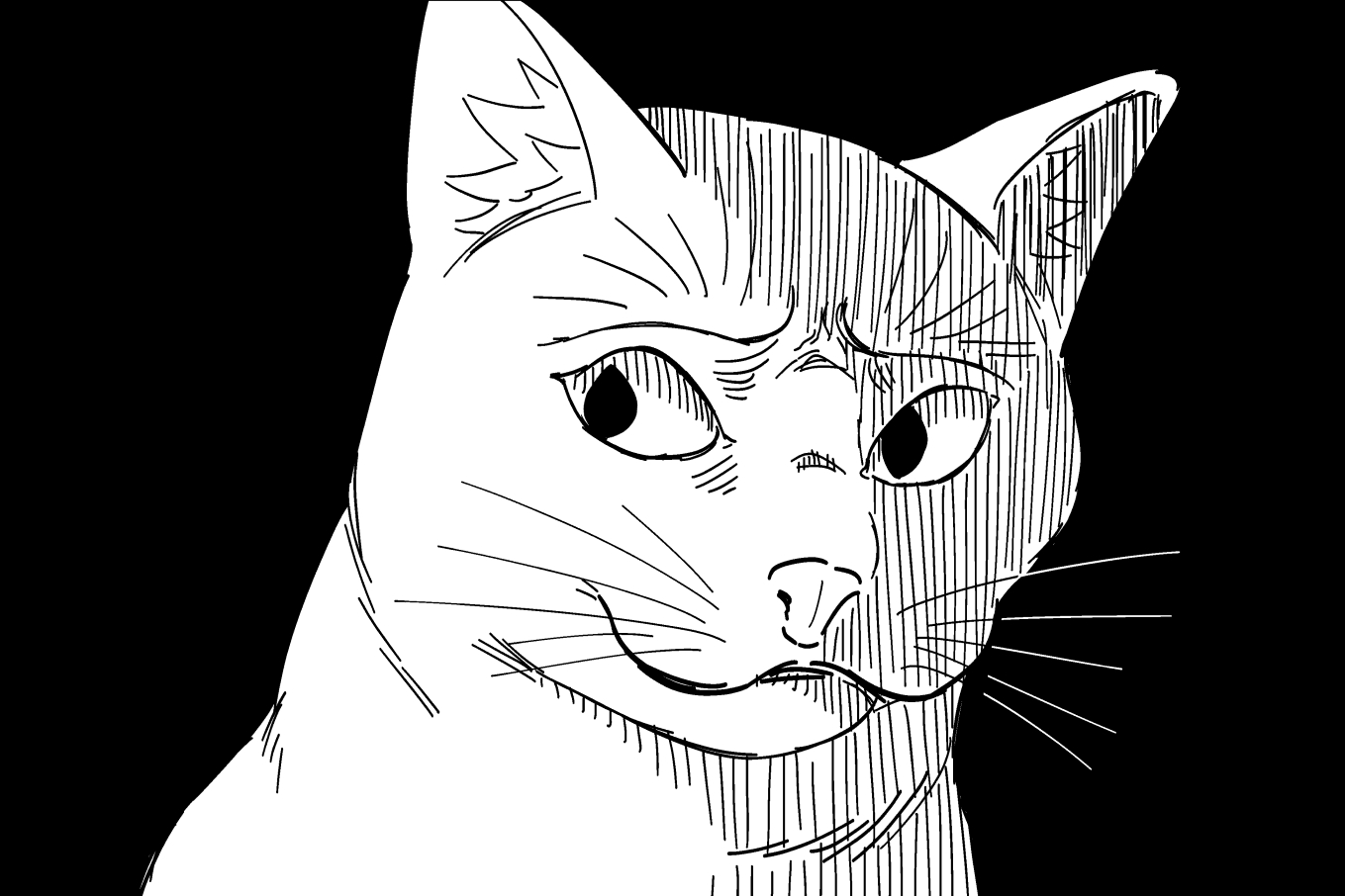 p48V5e8.png
