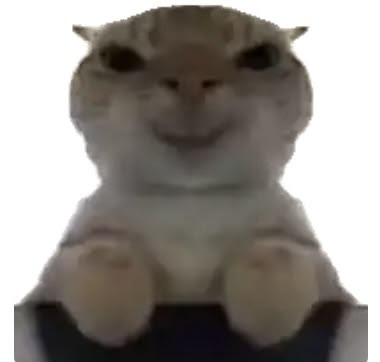 1f91c388498f78d1eb62e4649fc3f1c2.jpg