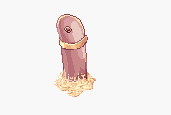 Hode03.gif