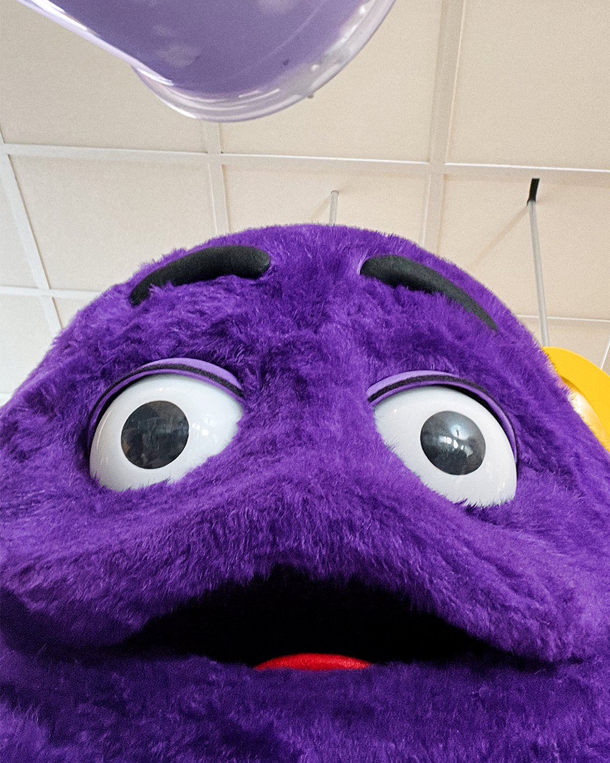 DwYGqLq.jpeg