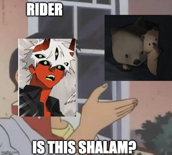 aBP63TQ.jpeg